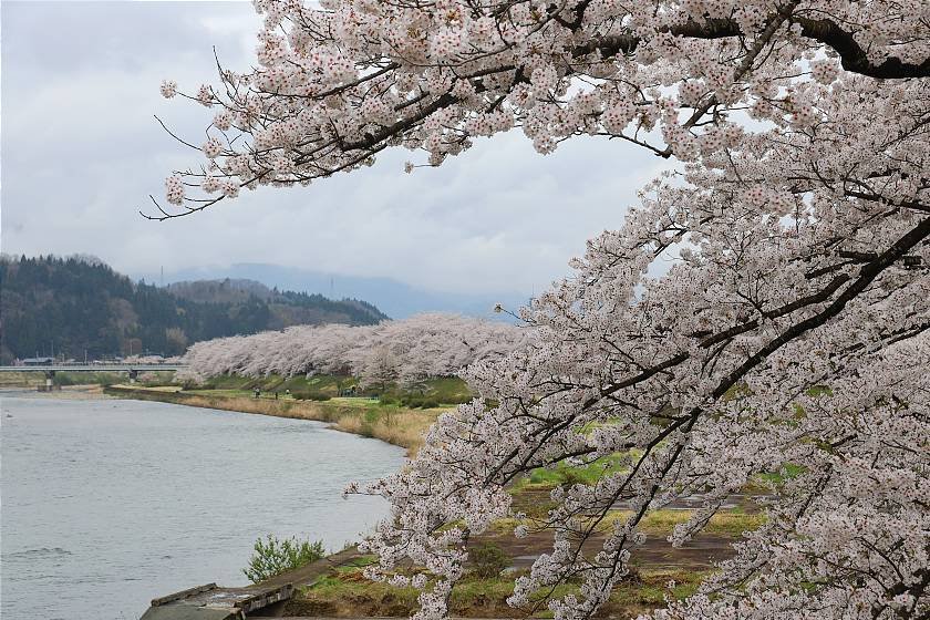 🏯 가쿠노다테 사무라이 거리 (가쿠노다테 부케야시키도리) 이미지 7